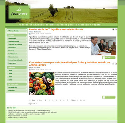 Detalle de la nueva pgina web de Fedisprove