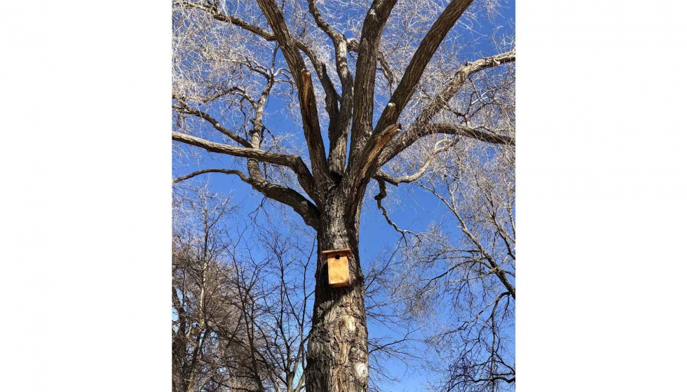 Caja nido instalada en la finca Mas La Plana