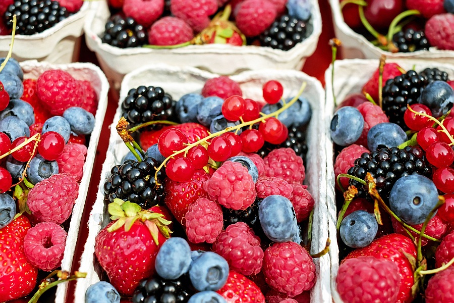 Os pequenos frutos continuam a ter potencial de crescimento, ainda na framboesa, mas principalmente na amora e no mirtilo...