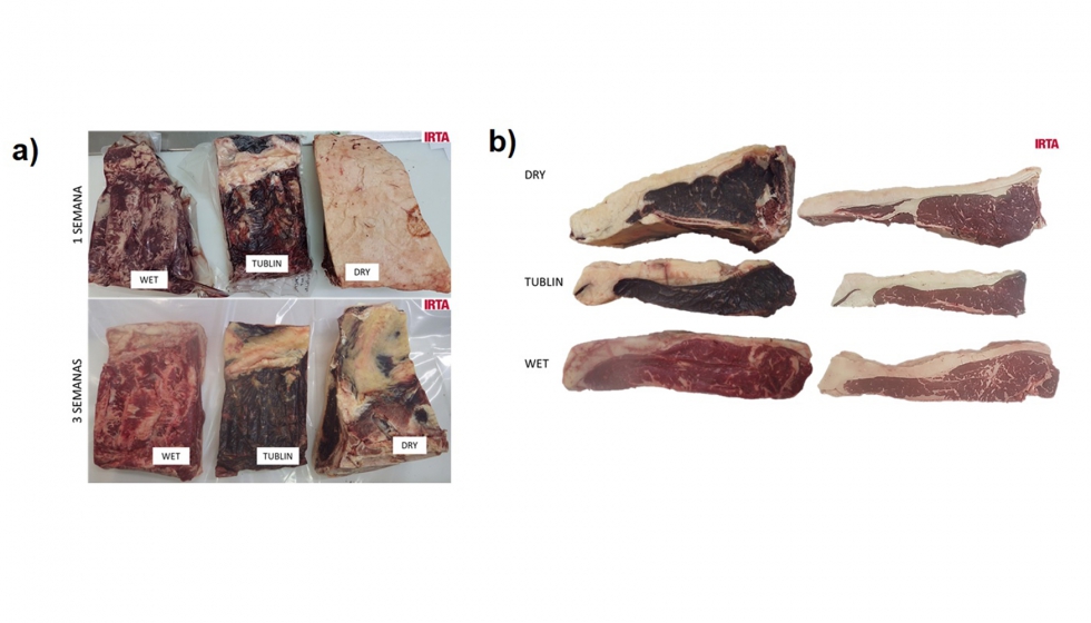 Figura 1. Mtodos para producir carne madurada...