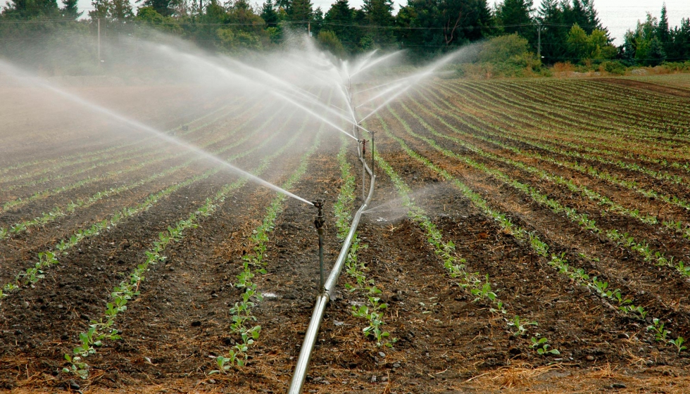 El consumo de electricidad en el sector agrario de regado en Castilla y Len, y en el conjunto de Espaa...