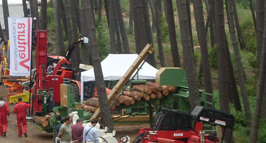 Processing of firewood 100 Evolution, with ability to cut and cut more than 5 tons of wood per hour