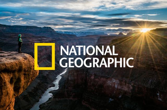 National Geographic, una marca global con propósito real - Licencias