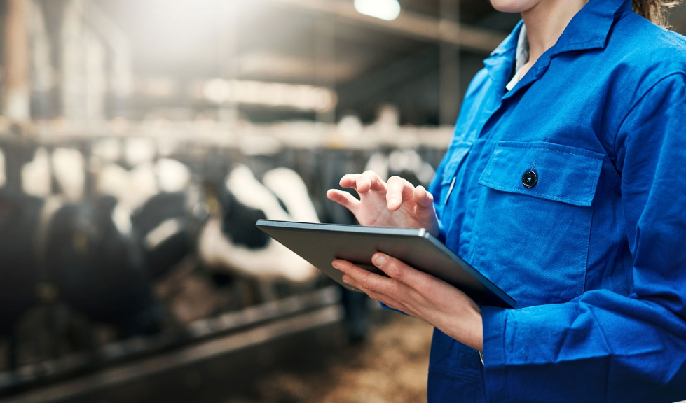Una veterinaria trabaja con una tablet en la mano en una explotaci�n ganadera