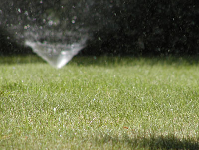 Cantidad y calidad de agua disponible, factores a valorar. Foto: Johnny Waterman