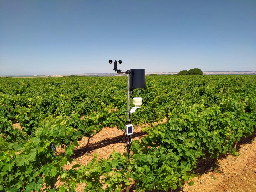 Las 20 estaciones meteorologgicas instaladas por el CRDO Rueda enviarn a los viticultores datos actuales e histricos desde septiembre de 2020...