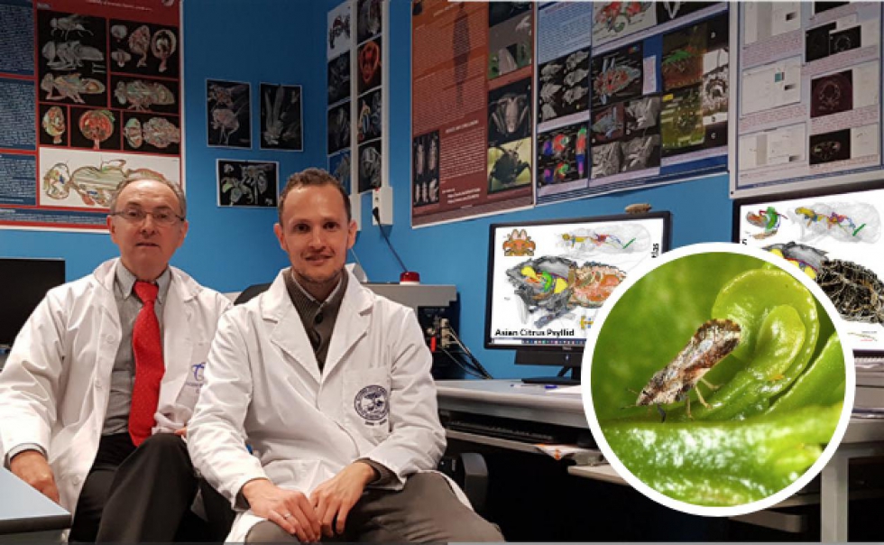 Los investigadores de la UGR Javier Alba-Tercedor e Ignacio Alba-Alejandre posan en el laboratorio mostrando parte de los resultados obtenidos...