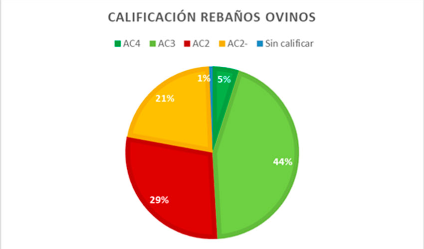 Figura 2. Calificaci�n de reba�os ovinos en Castilla y Le�n frente a agalaxia contagiosa