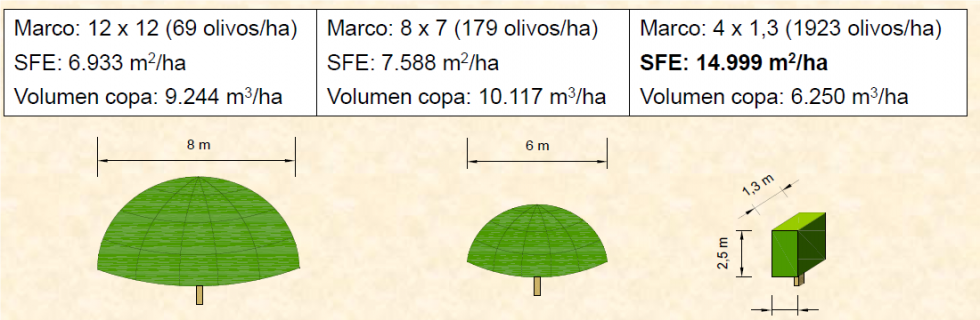 Figura 8. Efecto del tipo de plantacin en la Superficie Foliar Expuesta y en el volumen de copa del olivo (Fuente: Gomez del Campo, 2011)...
