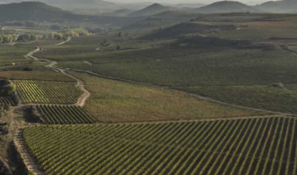 La DOCa Rioja va a plantar batalla legal contra la intencin de algunas bodegas alavesas de crear la DO Viedos de lava...