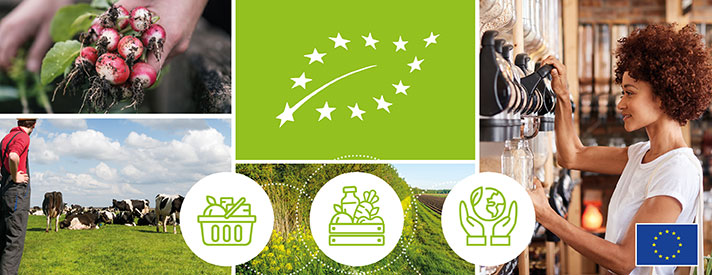 La Comisin Europea ha presentado recientemente un Plan de Accin para el impulso de la agricultura ecolgica en el continente...