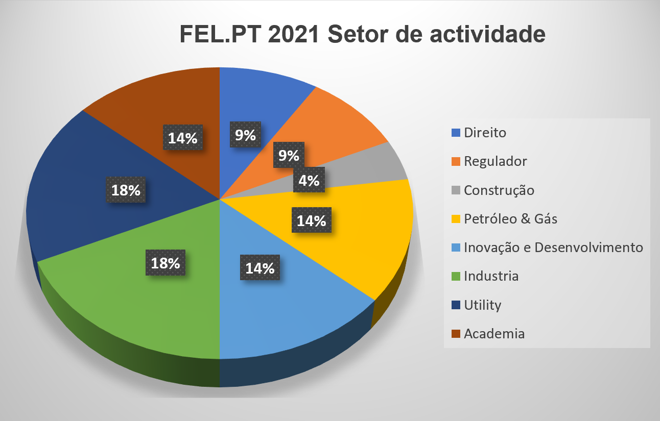 Figura 2. Distribuição do setor de atividade profissional da cohort FEL.PT 2021