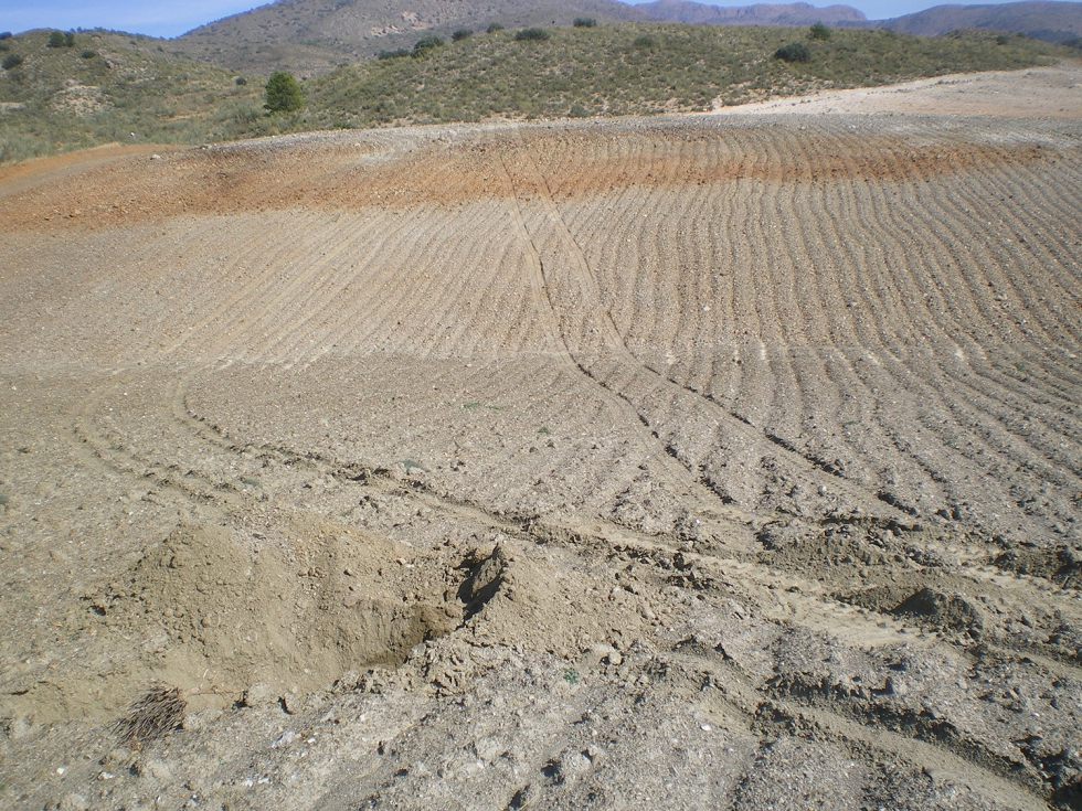 Foto 1. La distribucin de suelos dentro de la parcela como elemento clave para la sectorizacin