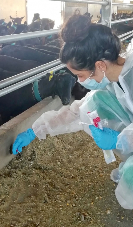 Toma de muestras ambientales durante la ejecuci�n del proyecto. Imagen: Grupo de Investigaci�n Pat�genos Intracelulares: Biolog�a e Infecci�n...