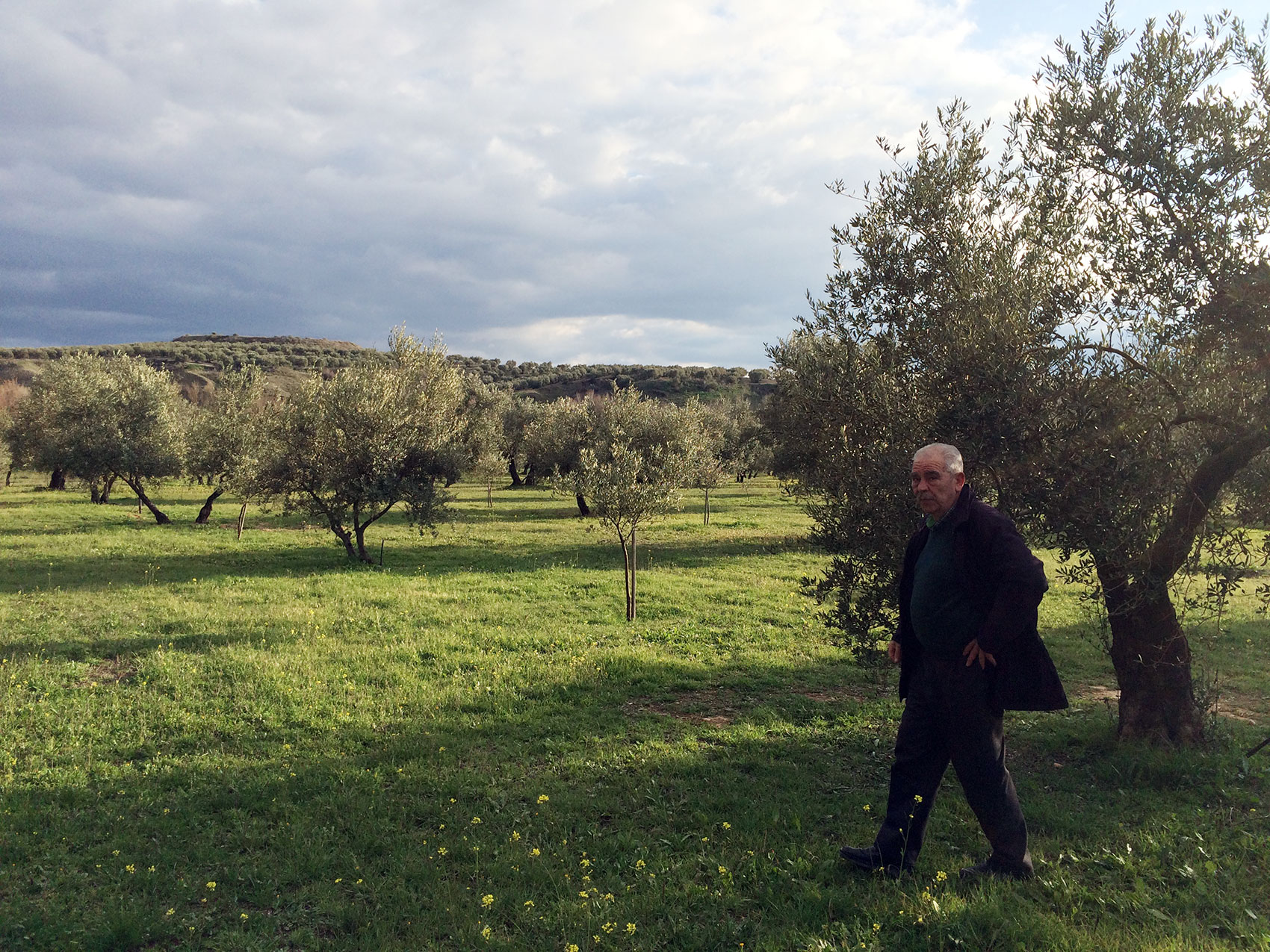 Pepe Jimnez, padre de Manuel y fundador de Olecola San Francisco, en una de las explotaciones ecolgicas de la finca