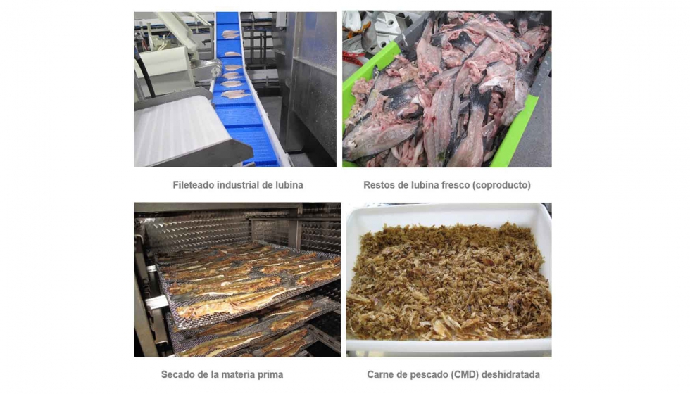 Fig. 2 Elaboracin de concentrado de pescado (CMD) para fabricar pastas sin gluten enriquecidas en compuestos bioactivos...