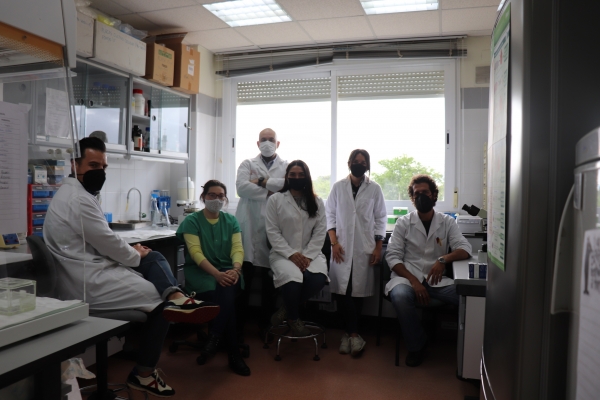 Investigadores que trabajan en el grupo de Anatoma Patolgica Animal de la Universidad de Crdoba (UCO)
