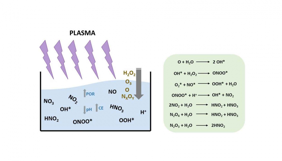 Figura 1: Difusin en el agua de especies qumicas reactivas del plasma y formacin de nuevas especies, generando agua activada por plasma (PAW)...