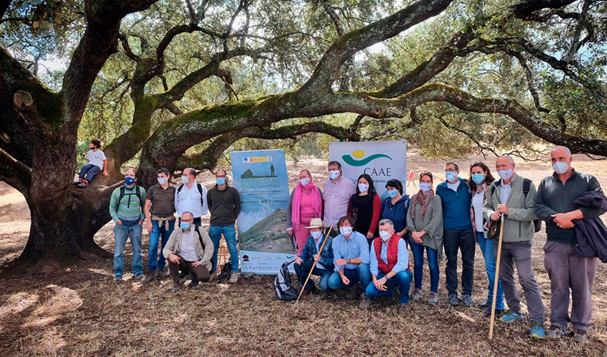 Actividad de campo desarrollada por el GO Ovinnova