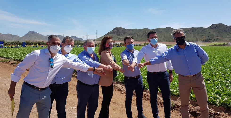 Los presidentes de Proexport y Coexphal, junto a los consejeros de Agricultura de la Regin de Murcia, Antonio Luengo, y Andaluca, Carmen Crespo...