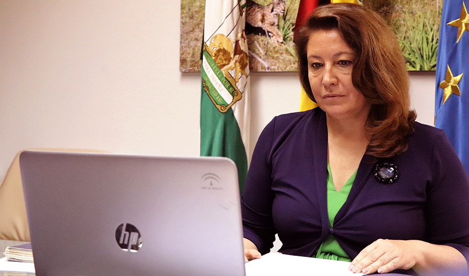 La consejera de Agricultura, Carmen Crespo, durante su participacin en el Consejo Consultivo de Poltica Agrcola para Asuntos Comunitarios...