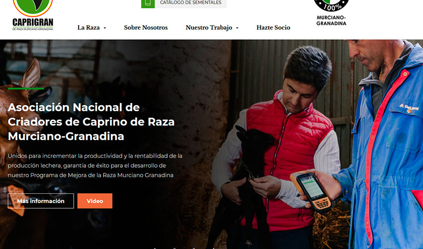 Pantallazo de la nueva página web Pantallazo de la nueva página web