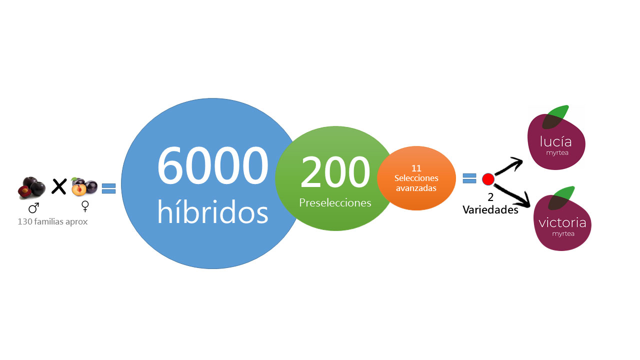 Figura 3. Resultados del programa de mejora hasta 2020