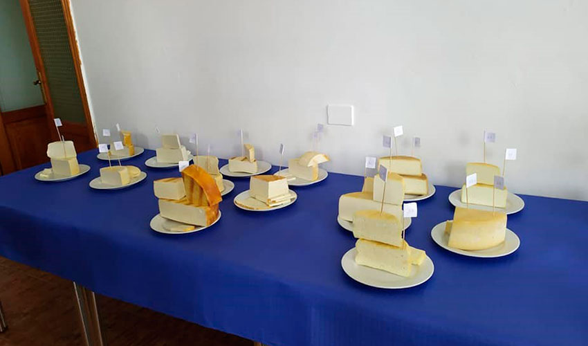 Mesa con variedades de los quesos participantes en la cata