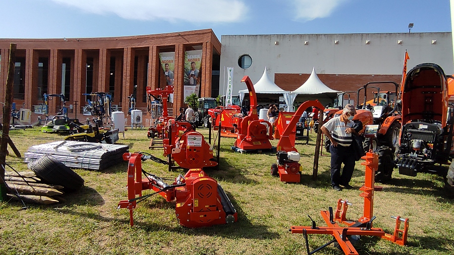 �O balan�o que fazemos da nossa participa��o na FNA'21 � muito positivo�, considera Cl�udia Pereira...