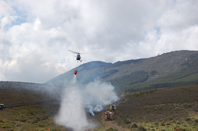 Si un incendio slo afecta a unas pocas hectreas quiere decir que la poltica aplicada ha sido la correcta...