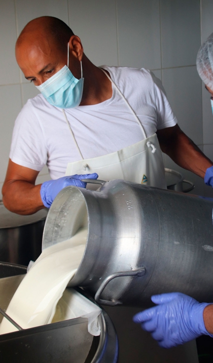 Proceso de volcado de leche en una queser�a de Canarias