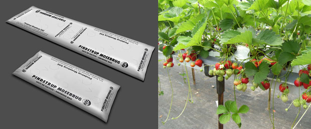 Saco de cultivo 'Pindstrup', testado con muy buenos resultados en el sector de la fresa