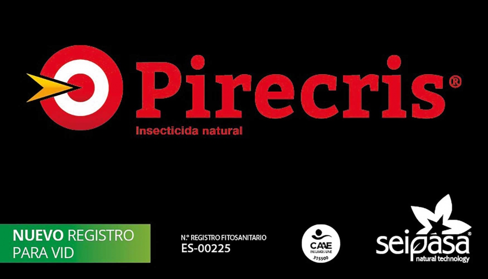 Seipasa obtiene en Espaa la ampliacin de etiqueta del bioinsecticida Pirecris para el control de cicadlidos en via y uva de mesa...