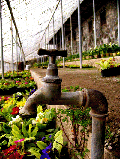 Tambin se suministrar agua para usos agrcolas e industriales