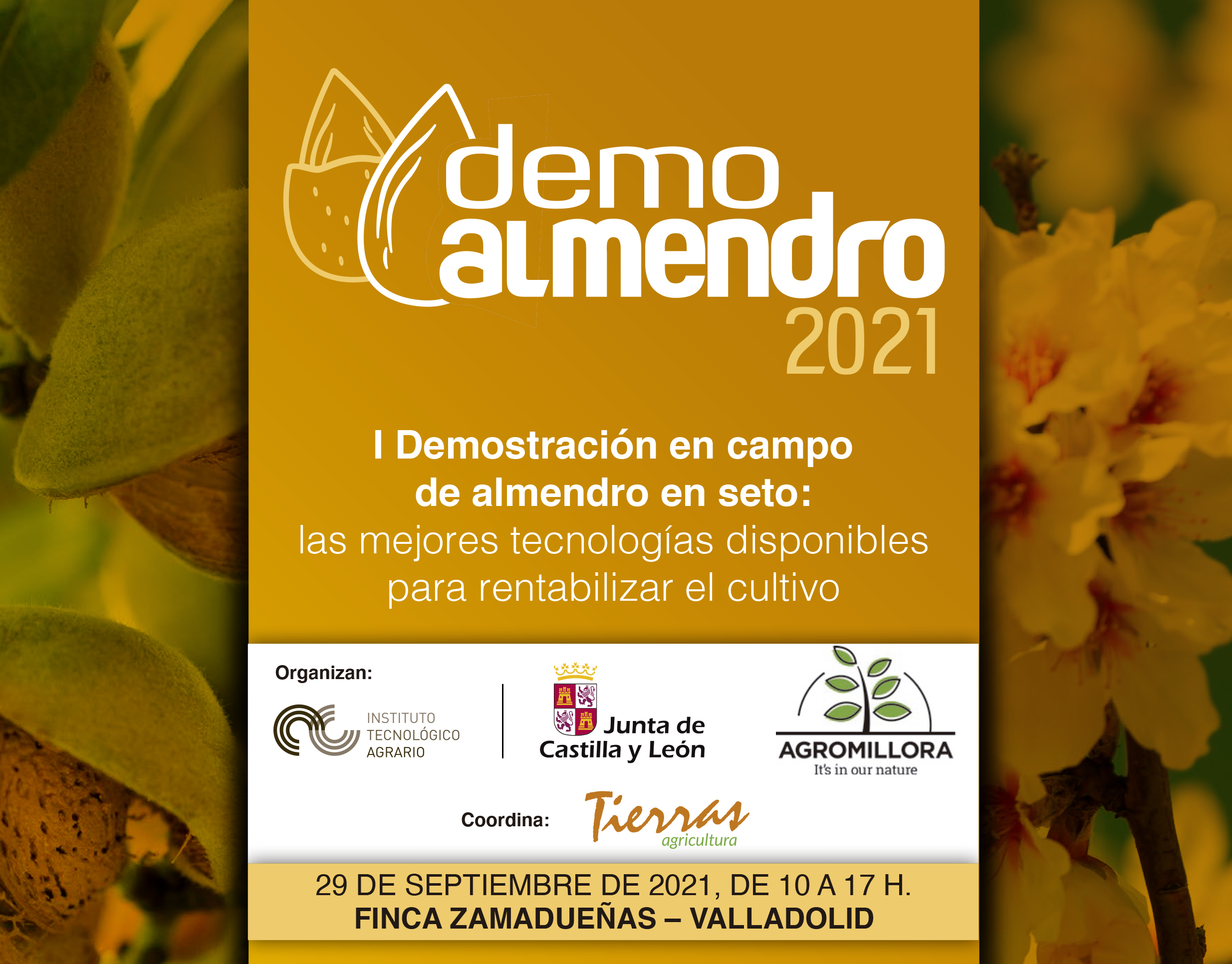 Cartel anunciador de la jornada 'DemoAlmendro 2021'