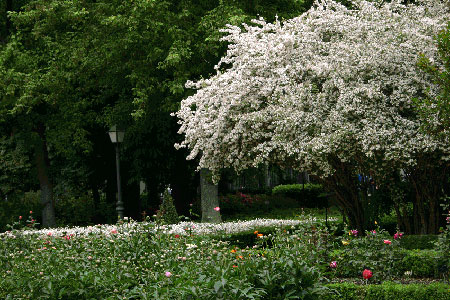 La formacin es fundamental para aplicar correctamente las tcnicas en materias de jardinera y paisajstica