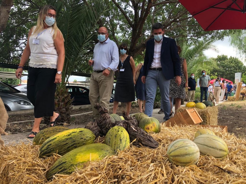 El consejero Antonio Luengo, durante su visita a la exposicin de las distintas variedades de melones organizada en el IMIDA...