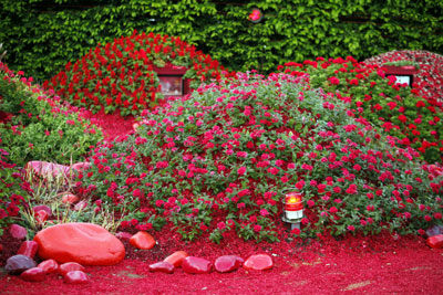 'Ver rojo', de la Escuela del Medio Ambiente Tecomah. Foto: Eric Sander