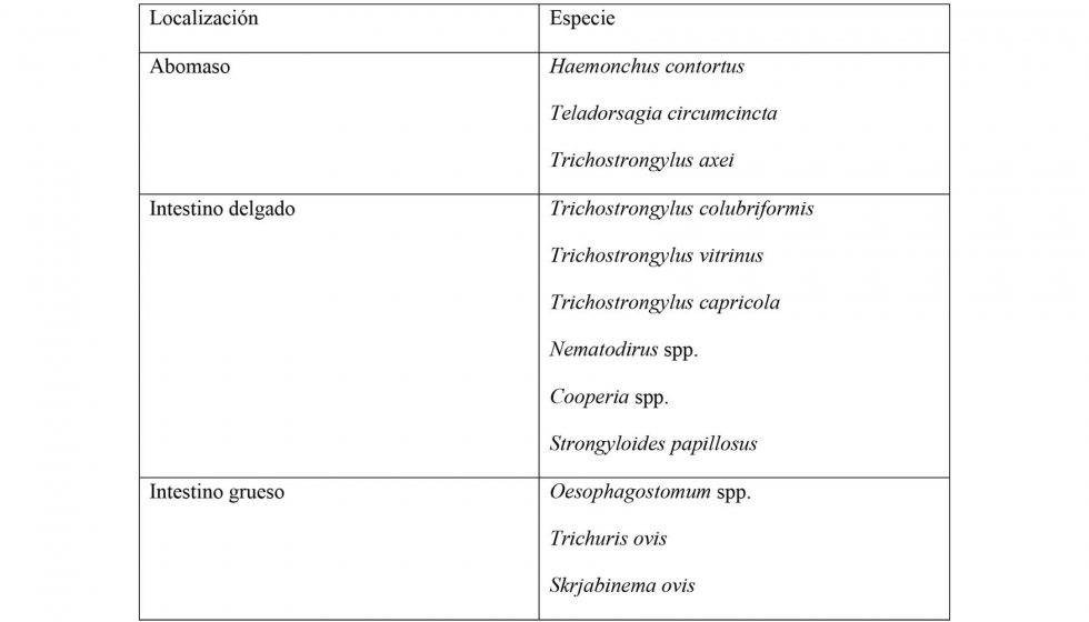 Tabla 1. Principales nematodos que afectan al ganado caprino
