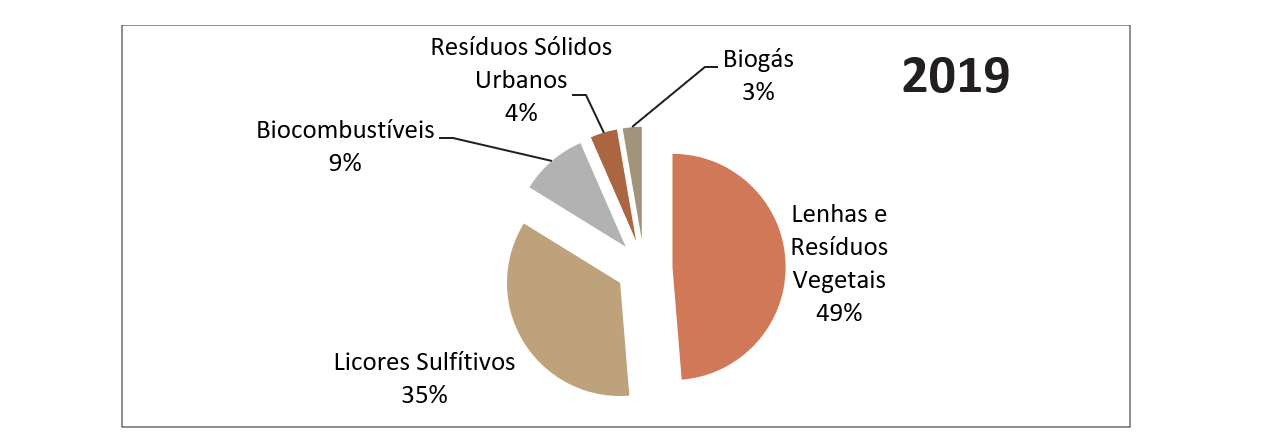 Distribuio das espcies de biomassa utilizadas em Portugal para fins energticos em 2019 (DGEG, 2020)