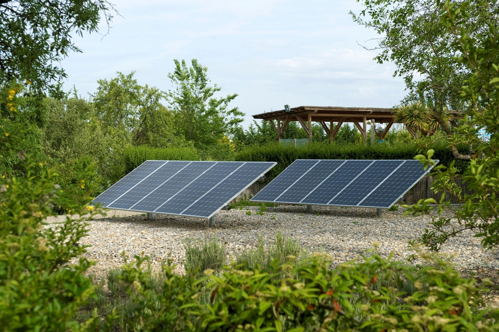 Paneles fotovoltaicos instalados en un parque natural