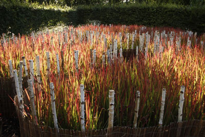 'Penumbra', del escultor espaol lvaro de la Rosa Maura y la ingeniera agrnoma Patricia Daz Agrela. Foto: Eric Sander...