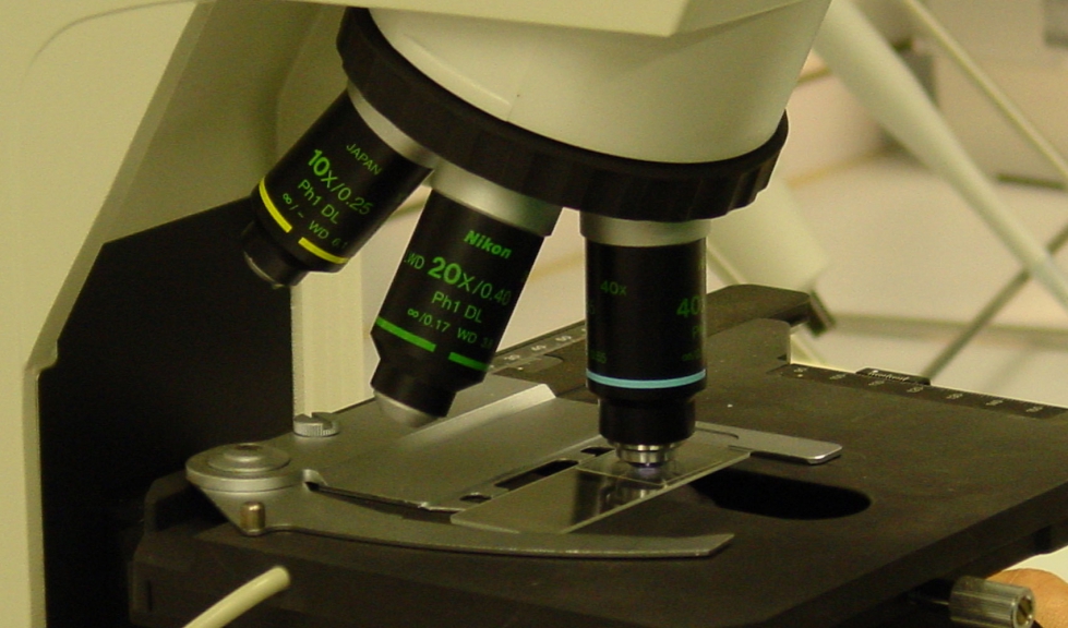 Microscopio del laboratorio de Ovign