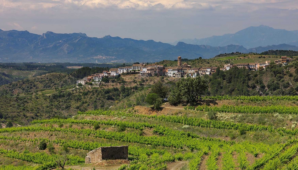 Clos Figueras posee un viedo excelente, con el clsico llicorella, en la famosa zona de Gratallops de la Denominacin de Origen Priorat...