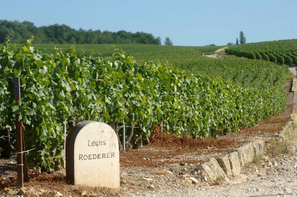 La Maison se convierte en una de las primeras bodegas en el mundo en obtener este prestigioso distintivo internacional...