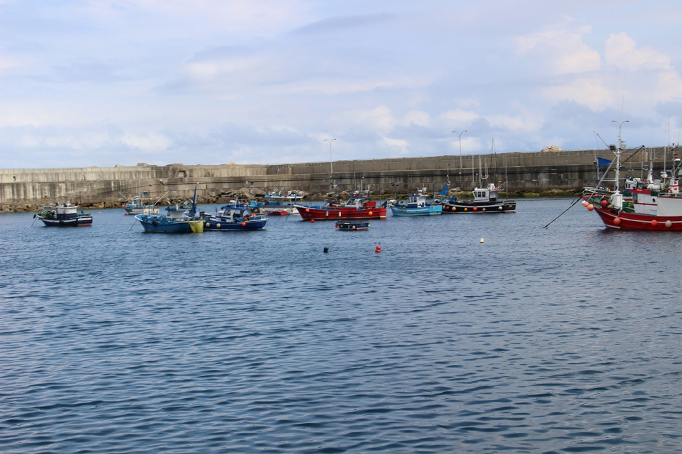 La Secretara General de Pesca ampla el cupo disponible hasta casi 5...