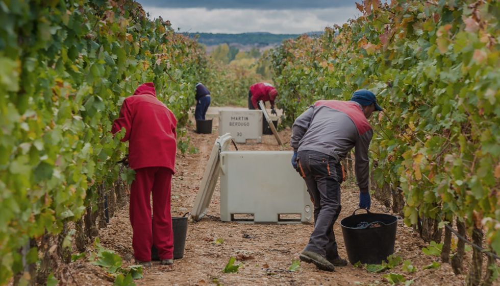 Se ha realizado una primera experiencia en colaboracin con la bodega Martn Berdugo, en el marco del proyecto Vidimag...