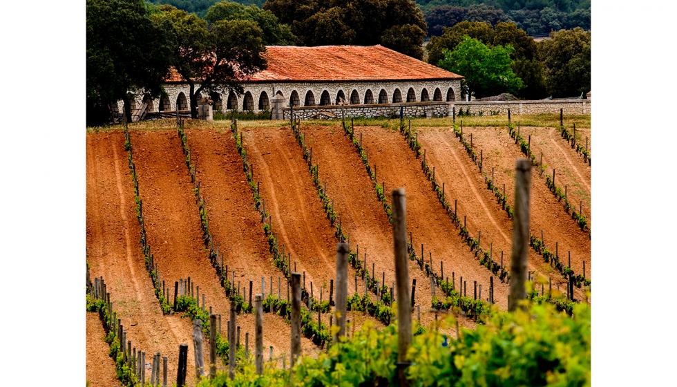 La Ruta del Vino Ribera del Duero cuenta con ms de 2.000 aos de historia acerca del vino