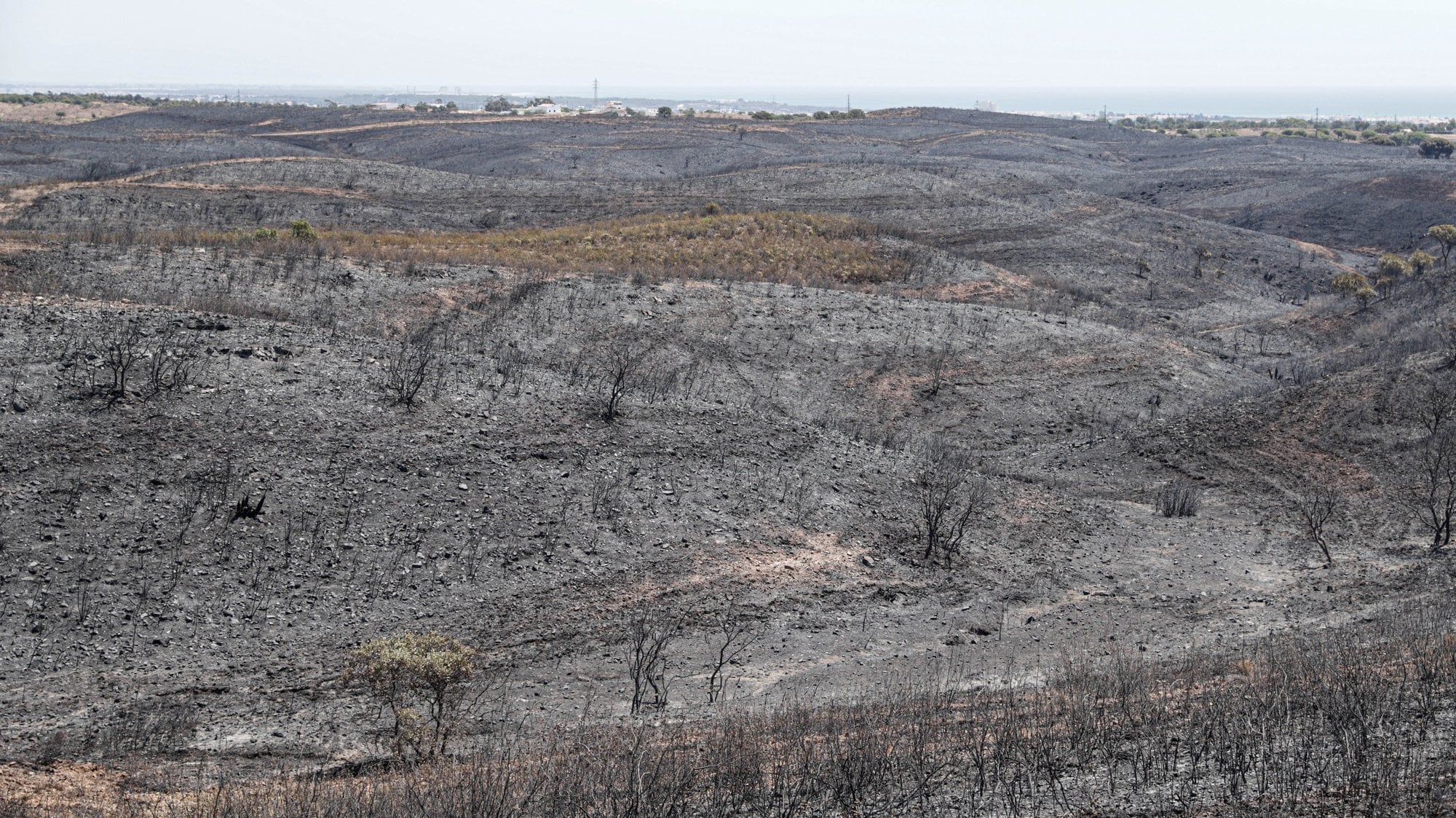 Foto: Cmara de Castro Marim