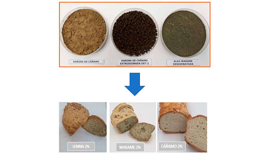 Figura 6. Incorporacin de nuevas biomasas en matices alimentarias
